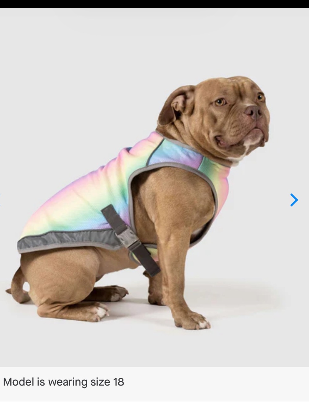 Canada Pooch Chill Seeker Pastel Rainbow Cooling Dog Vest size 16